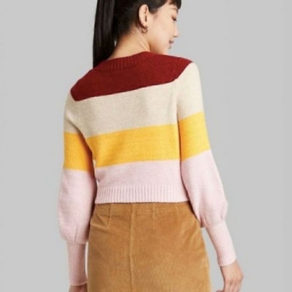 Wild Fable Colorblock Cropped Cardigan Sweater - Picture 4 of 9